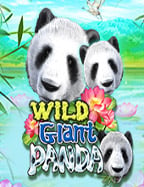 ทดลองเล่น ฟา โร สล็อต เฮ้ย ค่าย Jili น่าลองนะ!